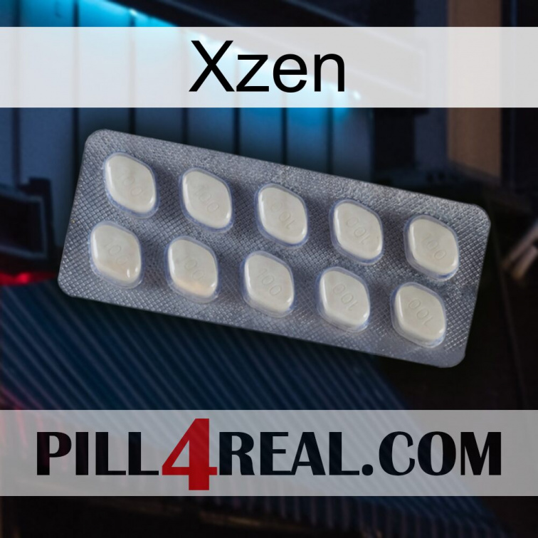 Xzen 08
